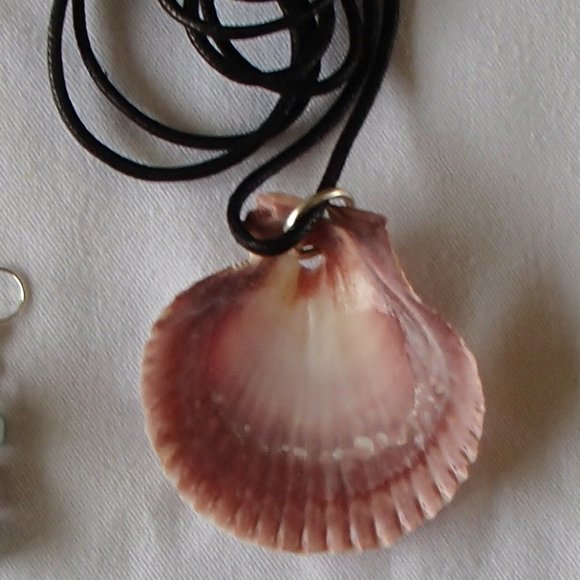 Nautical Scallop Seashell Adjustable Necklace and 4 Pair of Earrings Handcrafted - Picture 7 of 9